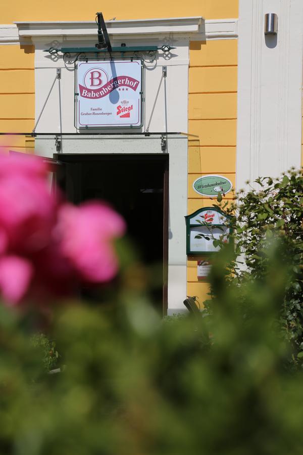 Babenbergerhof Hotel Ибс ан дер Донау Екстериор снимка